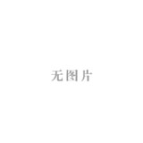 无图片